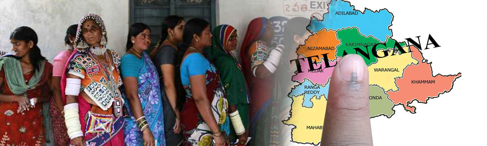 Telangana State Election Commission